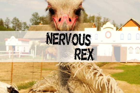 Nervous Rex: The Shredded Display Font with Serious Personality
