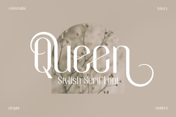Queen: A Typeface That Balances Timeless Grace with Modern Edge